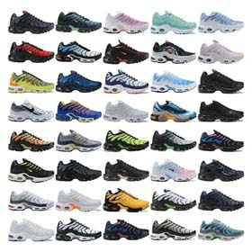 Nike Max Plus TN -0495  