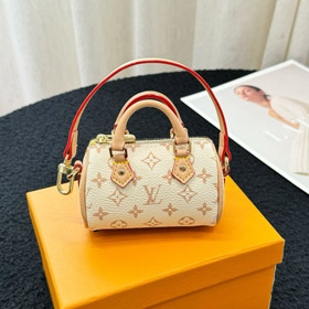 Louis Vuitton LV Mini Borsa a cuscino portatile Pendente-3935  