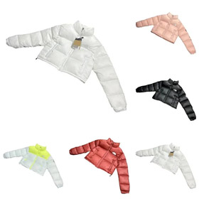 LA NORTH FACE Nuptse cucitura lettera ricamo stand colletto breve pane manica lunga giù giacca-4268  