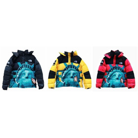 Nuova giacca da piuma elegante e calda di The North Face-4806  